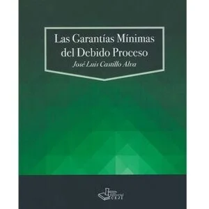 GARANTÍAS MÍNIMAS DEL DEBIDO PROCESO